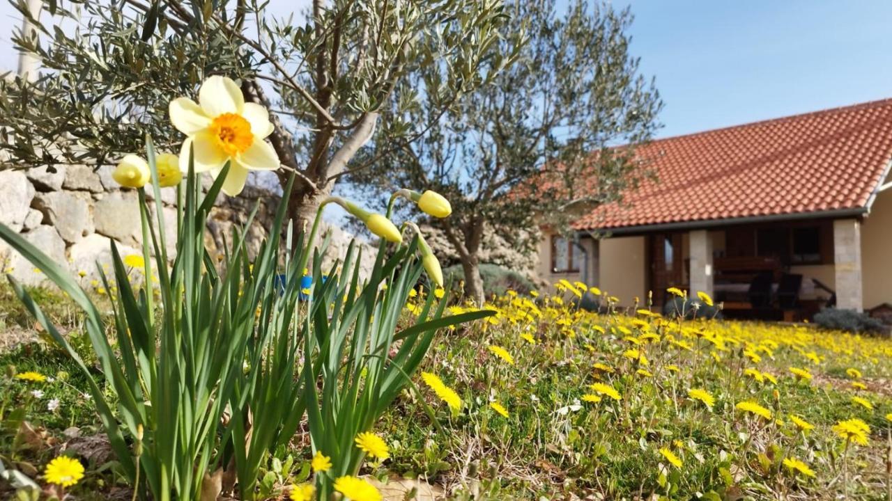 Holiday House Green Dream Obrovac Extérieur photo